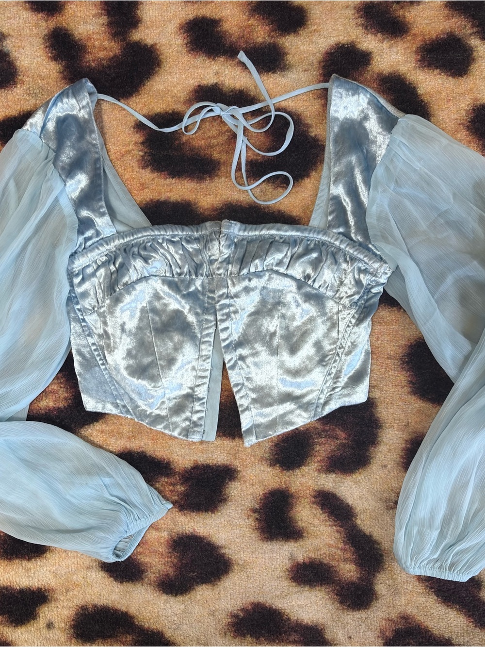 Urban Outfitters Light Blue Velvet Sheer Corset Top